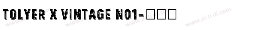 Tolyer X Vintage No1字体转换